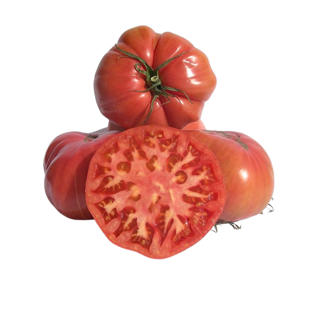 Tomate Pink