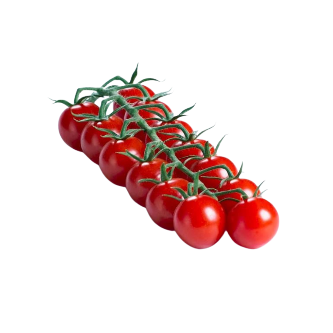 Tomate Rama C
